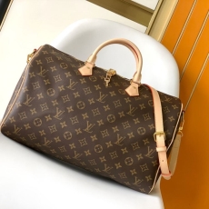 LV Travel Bags